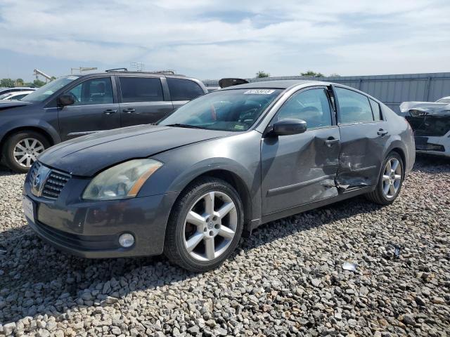 NISSAN MAXIMA SE 2006 with VIN 1N4BA41E46C842103 - Photo from auction