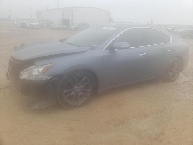 NISSAN MAXIMA S 2011 with VIN 1N4AA5AP8BC800983 - Photo from auction