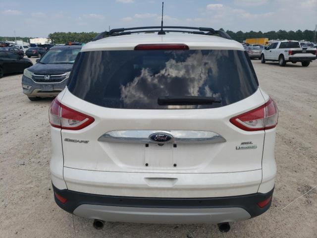 Photo 6 from auction – 2013 FORD ESCAPE SEL with VIN 1FMCU0HX9DUC99226