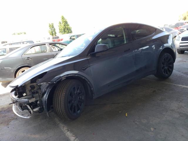 TESLA MODEL Y 2023 with VIN 7SAYGDEE0PF606228 - Photo from auction