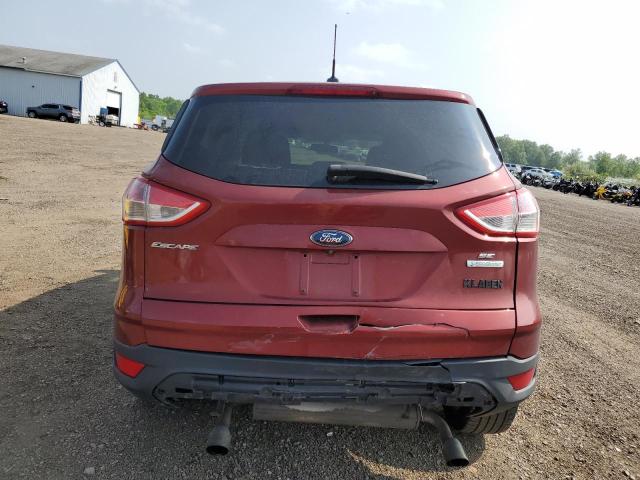 Photo 6 from auction – 2014 FORD ESCAPE SE with VIN 1FMCU0GX4EUD85773