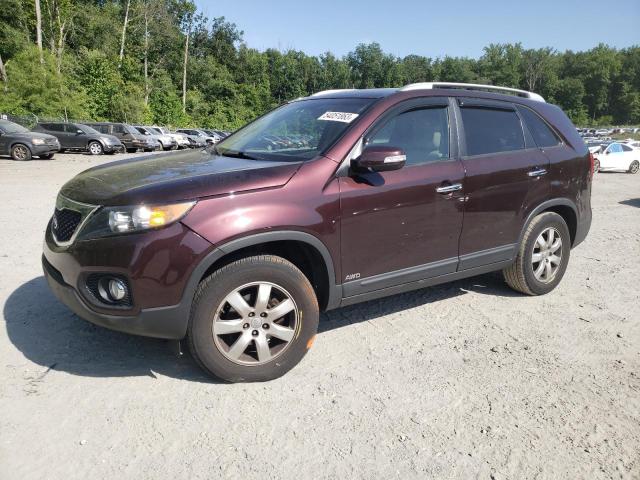 KIA SORENTO LX 2013 with VIN 5XYKTDA65DG388191 - Photo from auction