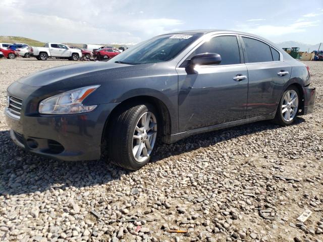 NISSAN MAXIMA S 2009 with VIN 1N4AA51E09C843450 - Photo from auction