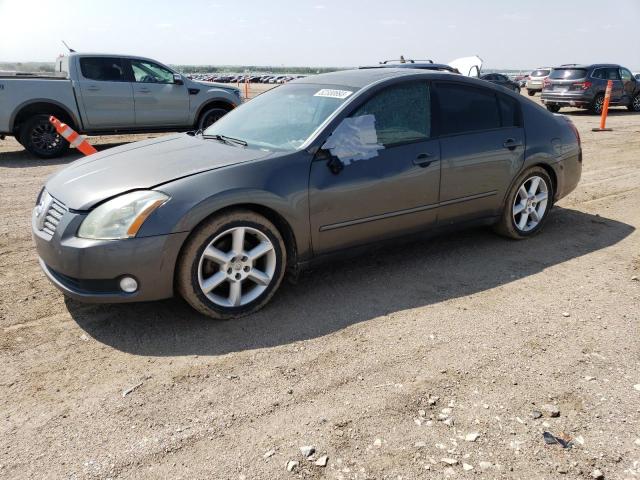 NISSAN MAXIMA SE 2006 with VIN 1N4BA41E46C847785 - Photo from auction