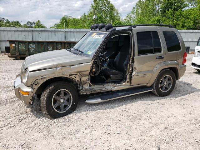 JEEP LIBERTY RE 2002 with VIN 1J8GL38K92W366383 - Photo from auction