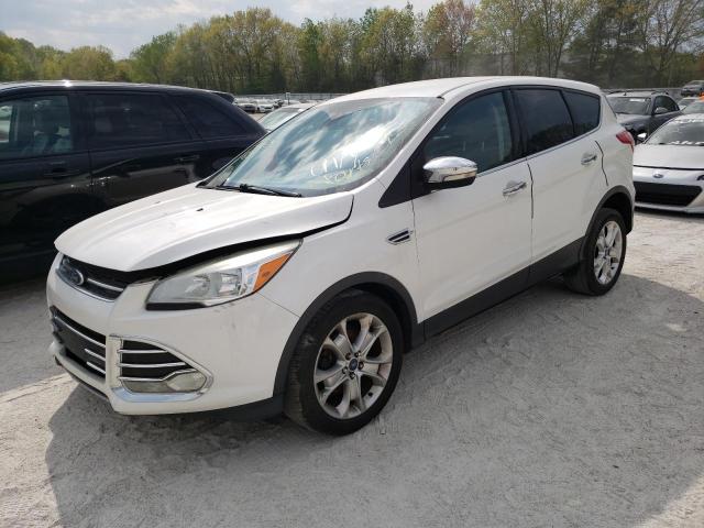 FORD ESCAPE SEL 2013 with VIN 1FMCU0HX3DUB10246 - Photo from auction