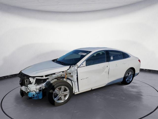 CHEVROLET MALIBU LT 2023 with VIN 1G1ZD5ST2PF166844 - Photo from auction