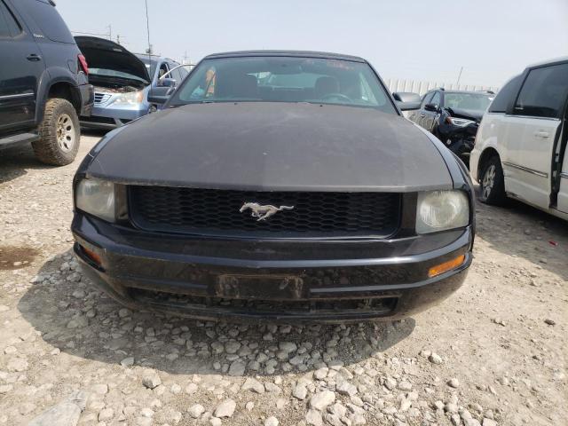 Photo 5 from auction – 2005 FORD MUSTANG with VIN 1ZVFT84N355250524