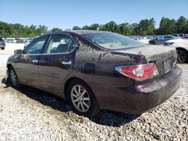Фото 2 с аукциона – 2004 LEXUS ES 330 с VIN JTHBA30G640022125