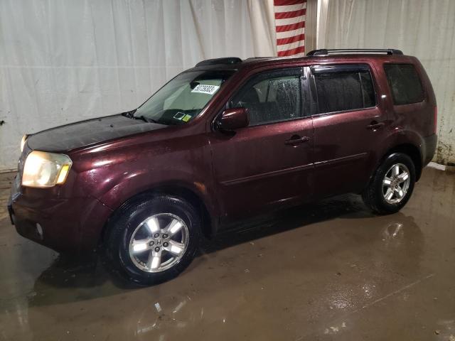 HONDA PILOT EXL 2009 with VIN 5FNYF48569B030675 - Photo from auction