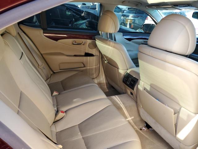 Photo 10 from auction – 2007 LEXUS LS 460 with VIN JTHBL46FX75013496