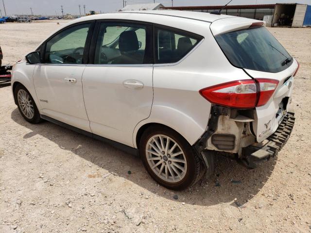 Photo 2 from auction – 2013 FORD C-MAX SEL with VIN 1FADP5BU9DL504406