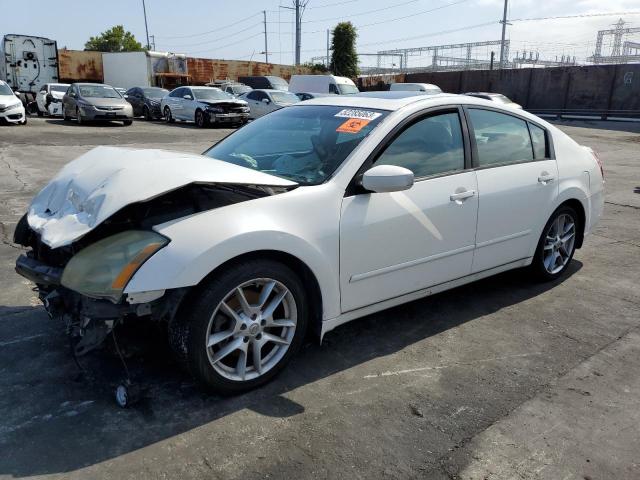 NISSAN MAXIMA SE 2004 with VIN 1N4BA41E24C874478 - Photo from auction