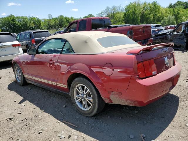 Photo 2 from auction – 2005 FORD MUSTANG with VIN 1ZVFT84N655230901