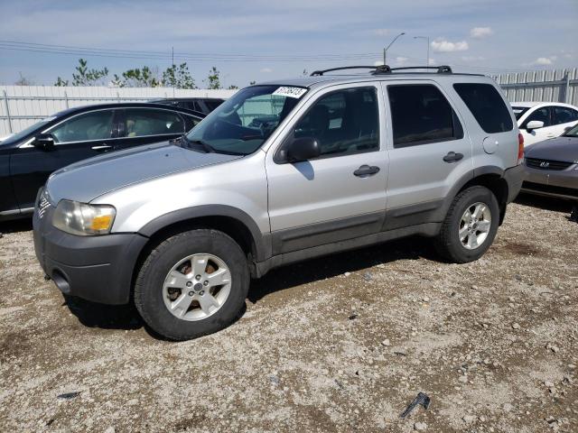 FORD ESCAPE XLT 2006 with VIN 1FMYU93196KD45133 - Photo from auction