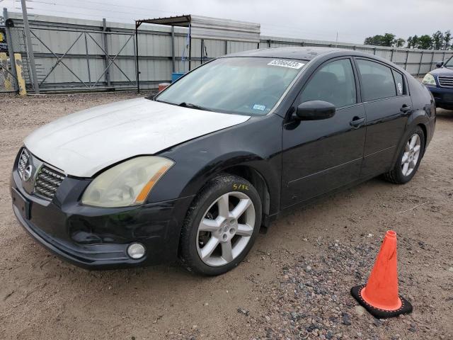 NISSAN MAXIMA SE 2006 with VIN 1N4BA41E46C811613 - Photo from auction