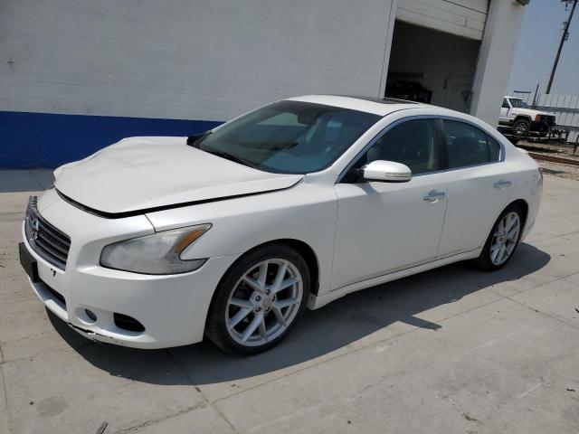 NISSAN MAXIMA S 2009 with VIN 1N4AA51EX9C802470 - Photo from auction