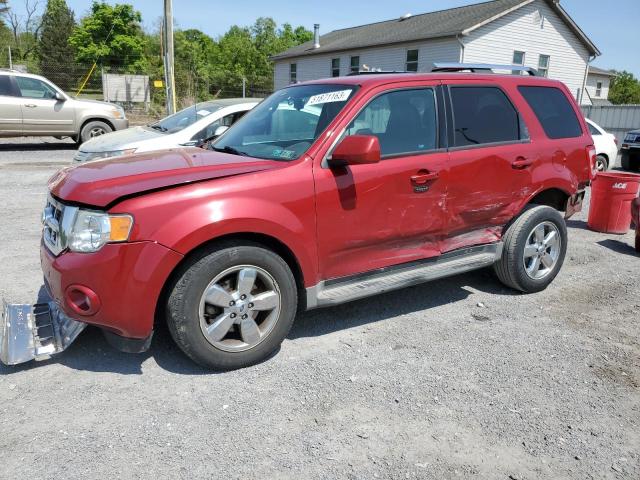 FORD ESCAPE LIM 2010 with VIN 1FMCU9EGXAKB88491 - Photo from auction