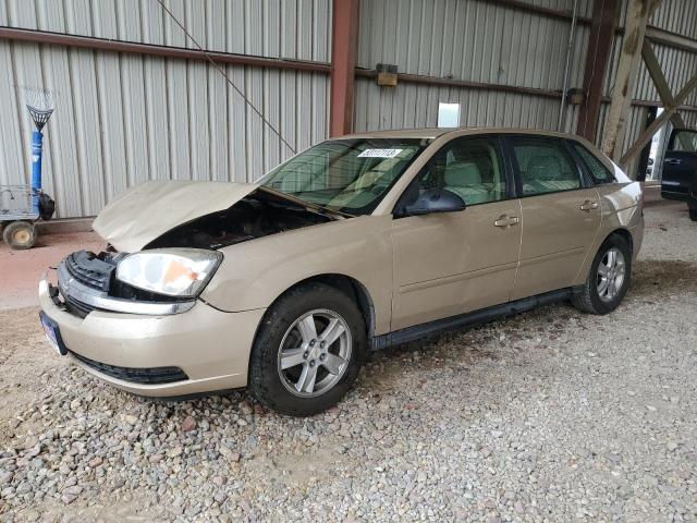 CHEVROLET MALIBU MAX 2005 with VIN 1G1ZT64805F210841 - Photo from auction