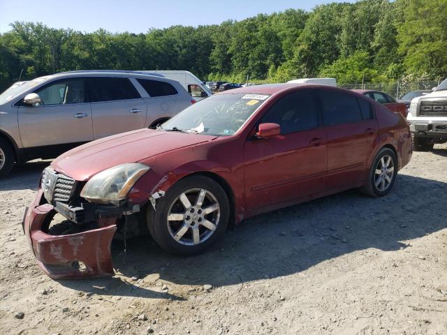 NISSAN MAXIMA SE 2006 with VIN 1N4BA41E06C825749 - Photo from auction