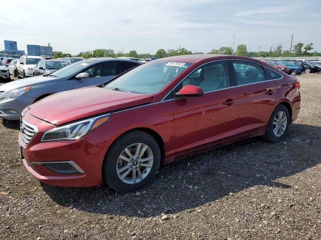 HYUNDAI SONATA SE 2016 with VIN 5NPE24AF2GH325739 - Photo from auction