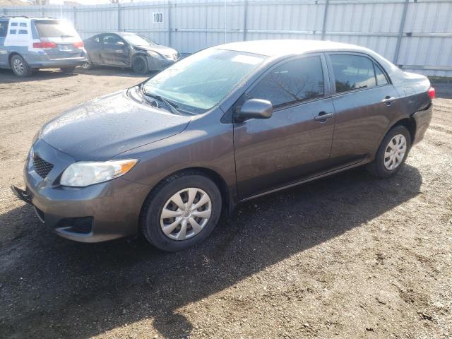 TOYOTA COROLLA BA 2009 with VIN 2T1BU40E59C019274 - Photo from auction