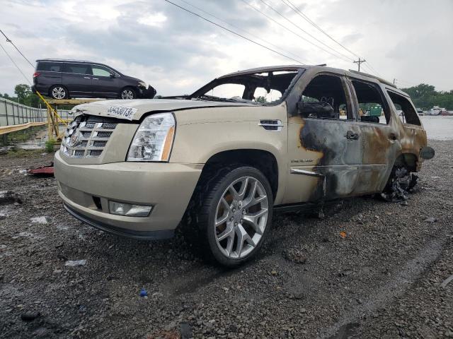 CADILLAC ESCALADE P 2010 с VIN 1GYUKCEF2AR159443 - Снимка от търг