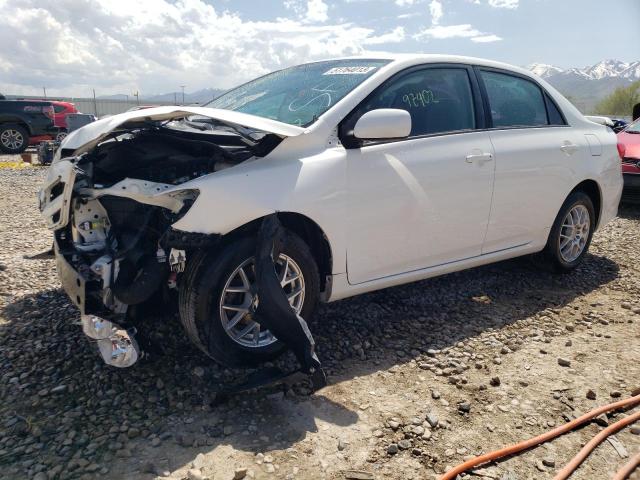 TOYOTA COROLLA 2011 with VIN 2T1BU4EE9BC558981 - Photo from auction