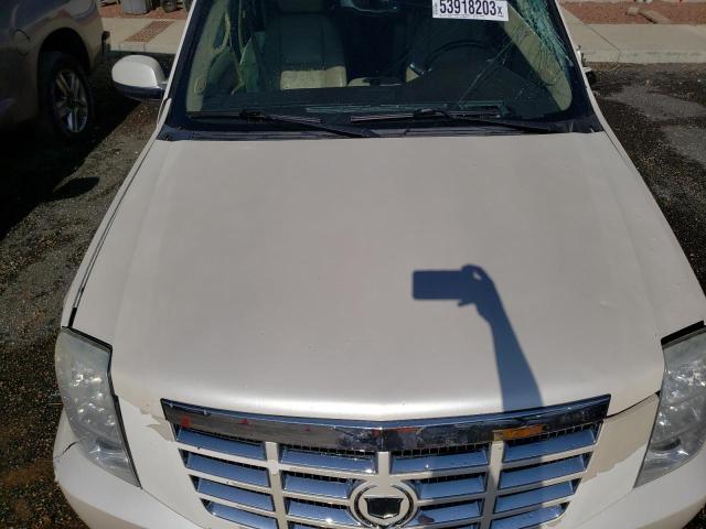 Photo 12 from auction – 2010 CADILLAC ESCALADE with VIN 1GYUKAEF2AR135616