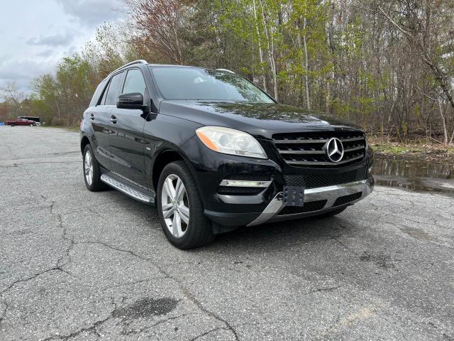 MERCEDES-BENZ ML 350 BLU 2012 with VIN 4JGDA2EB9CA060437 - Photo from auction