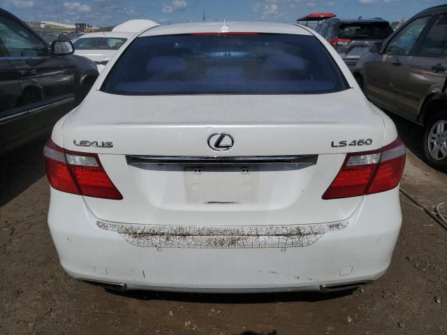 Photo 6 from auction – 2009 LEXUS LS 460 with VIN JTHBL46F295091256