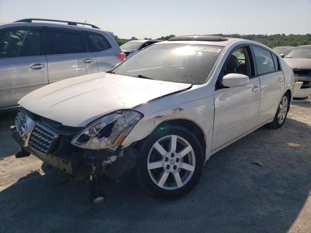 NISSAN MAXIMA SE 2005 with VIN 1N4BA41E65C800983 - Photo from auction