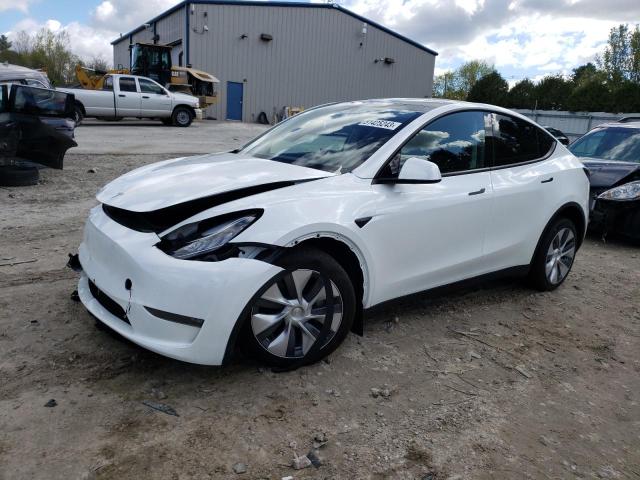 TESLA MODEL Y 2023 with VIN 7SAYGDEE8PA034709 - Photo from auction