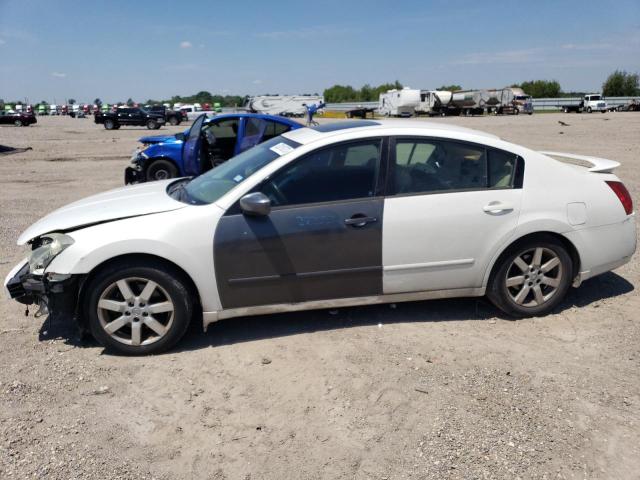 NISSAN MAXIMA SE 2006 z numerem VIN 1N4BA41E76C819575 - Zdjęcie z aukcji