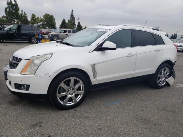 CADILLAC SRX PERFOR 2012 z numerem VIN 3GYFNBE31CS615349 - Zdjęcie z aukcji