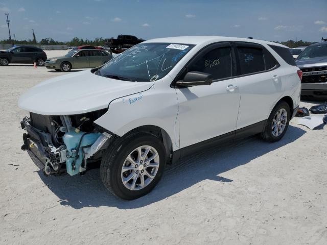 CHEVROLET EQUINOX LS 2019 with VIN 3GNAXHEV4KS625233 - Photo from auction