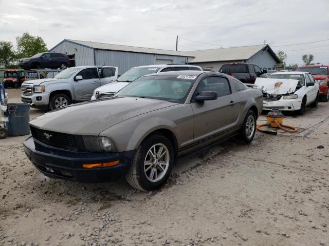 FORD MUSTANG 2005 with VIN 1ZVFT80N055164786 - Photo from auction
