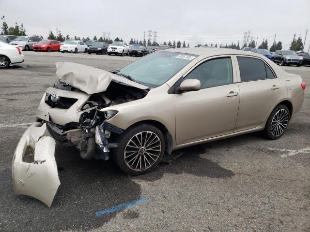 TOYOTA COROLLA BA 2010 with VIN 2T1BU4EE9AC403510 - Photo from auction