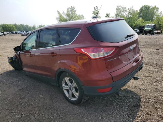 Photo 2 from auction – 2014 FORD ESCAPE SE with VIN 1FMCU0GX4EUD85773
