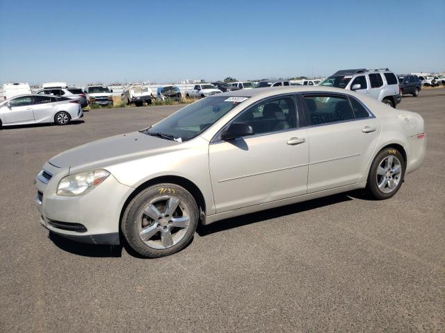 CHEVROLET MALIBU LS 2011 with VIN 1G1ZB5E17BF315239 - Photo from auction