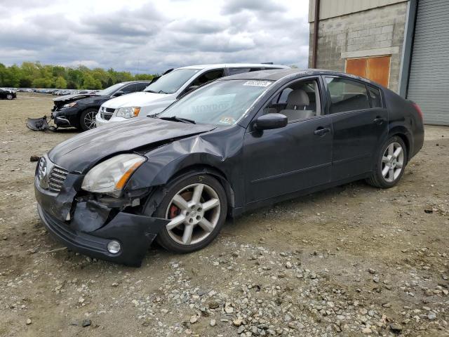 NISSAN MAXIMA SE 2006 with VIN 1N4BA41E76C816773 - Photo from auction