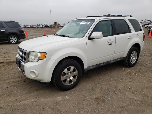FORD ESCAPE 2011 with VIN 1FMCU0EG6BKC04781 - Photo from auction