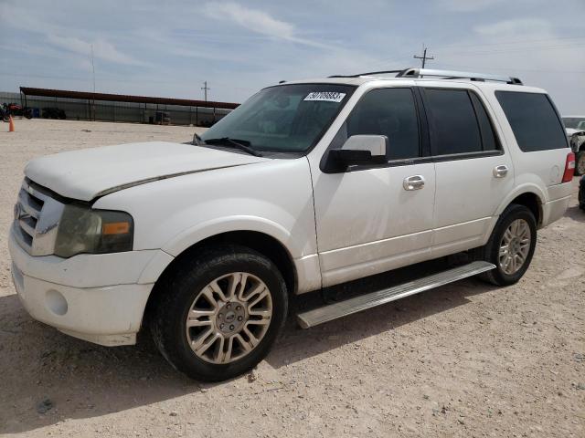 FORD EXPEDITION 2011 with VIN 1FMJU1K57BEF04361 - Photo from auction