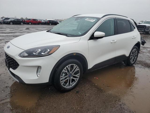 FORD ESCAPE SEL 2020 with VIN 1FMCU9H67LUC35146 - Photo from auction