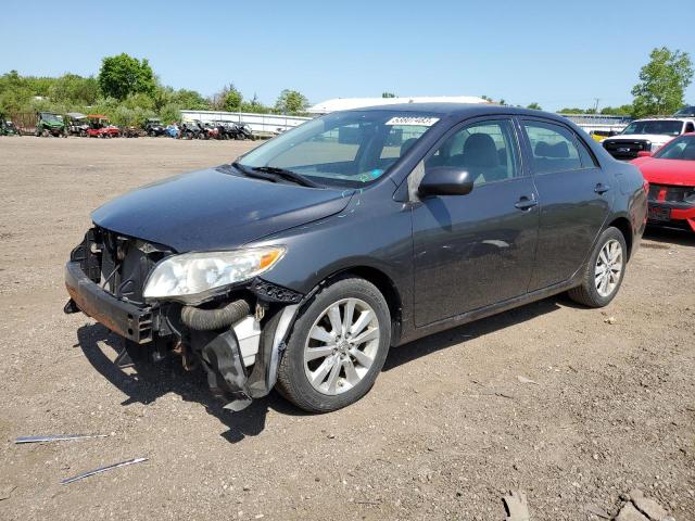 TOYOTA COROLLA 2009 with VIN JTDBL40E099065703 - Photo from auction
