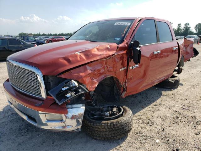 DODGE RAM 1500 2009 with VIN 1D3HB13T59S793362 - Photo from auction