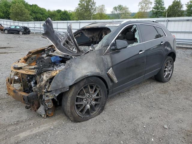 CADILLAC SRX PERFOR 2016 with VIN 3GYFNCE33GS556493 - Photo from auction