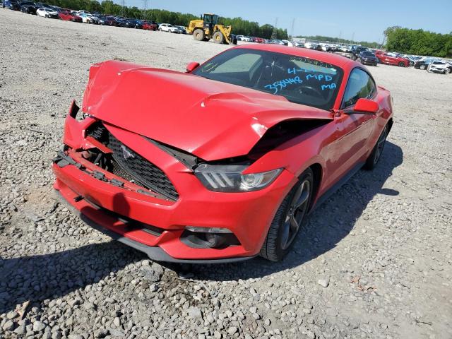 FORD MUSTANG 2015 with VIN 1FA6P8AM6F5350448 - Photo from auction