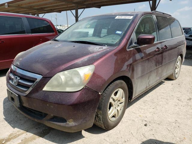 HONDA ODYSSEY EX 2007 with VIN 5FNRL384X7B134811 - Photo from auction