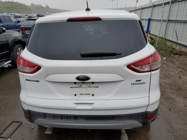 Photo 6 from auction – 2014 FORD ESCAPE SE with VIN 1FMCU0GXXEUB80748